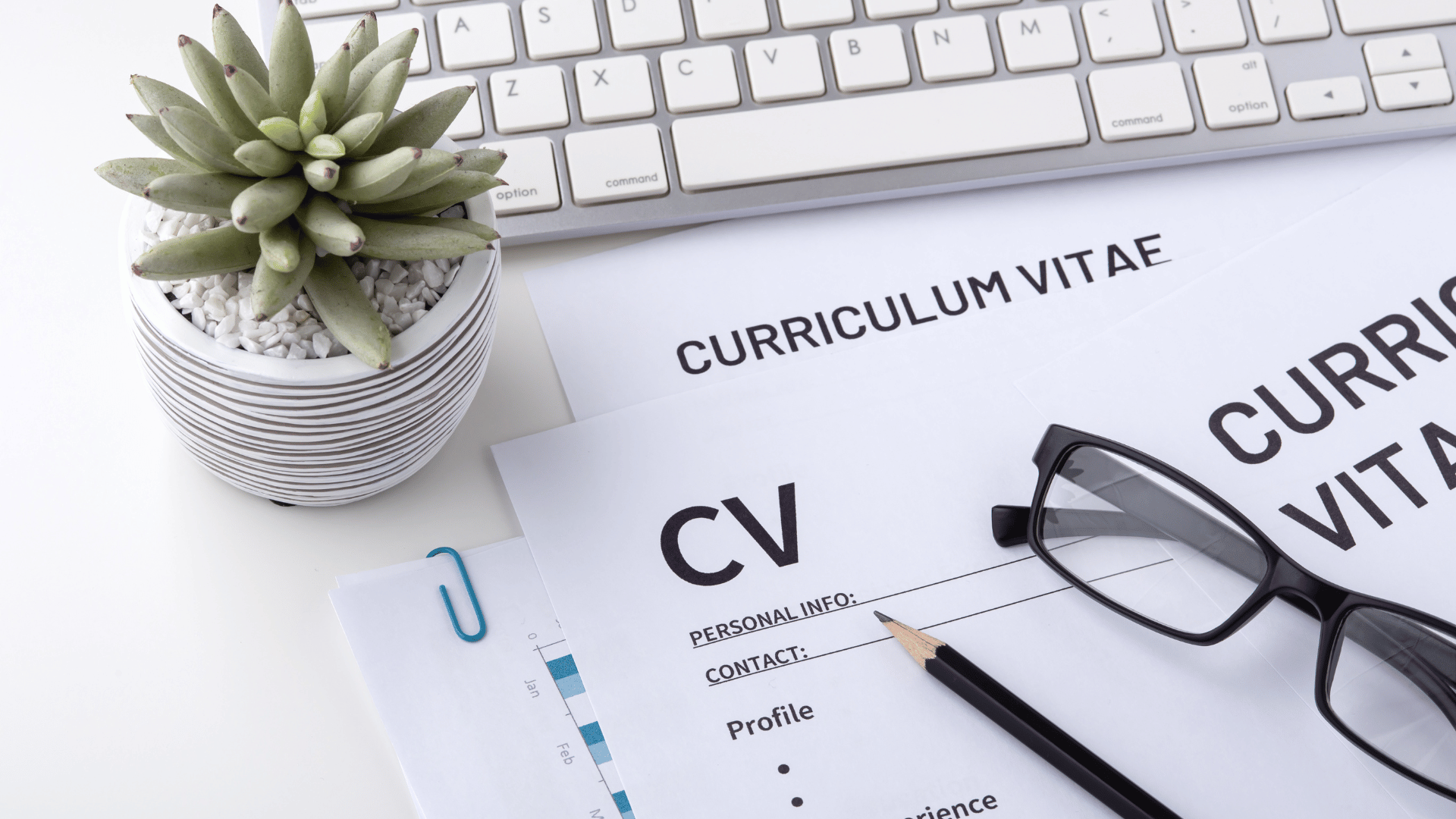 Common CV Mistakes and How to Amend Them